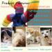 DeeNiner Colorful Cat Tunnel for Indoor Cats - Large 5 Way Collapsible Interactive Peek Hole Tube Toy with Play Ball - Rainbow S-Shape Design - Buy Online on GoSupps.com