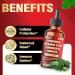 9in1 Moringa Liquid Drops with Vitamin D3-C Ceylon Cinnamon Ashwagandha Ceylon Cinnamon Bitter Melon and More - Immune System - 1 FL Oz - 30 Day Supply - Buy Online on GoSupps.com