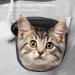 Homelevel Cat Pocket Hoodie Sweater - Cute Pet-Friendly Sweater with Dog Bag for Small Pets - Gray - Buy Online on GoSupps.com