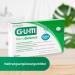 Buy Gum Periobalance Sucking Tablets - Nutritional Supplements with L. reuteri for Healthy Gums | 2 x 30 Pieces - Mint Flavor | International Shipping - Buy Online on GoSupps.com