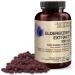 FutureBiotics Elderberry Extract 500 mg | 60 Organic Vegetarian Tablets for Immune Support - Buy Online on GoSupps.com