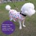 Cyeollo Lightweight Fruit Pattern Dog Dress for Small Dogs | Soft Breathable Pet Clothes for Spring & Summer - Buy Online on GoSupps.com