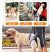 Hamon Portable Dog Harness for Hind Legs | Dog Lifting Aid for Older & Sick Dogs (Large) - Buy Online on GoSupps.com