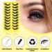 Natural Cat Eye Lashes - 3D Wispy Fox Eye Fake Lashes | Reusable Soft & Lightweight | 10 Pairs for Beginners - Buy Online on GoSupps.com