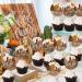 Sursurprise 36Pcs Desert Cupcake Toppers for Desert Cactus Baby Shower Decorations Arizona Wedding Western Cowboy Horse Birthday Party Supplies - Buy Online on GoSupps.com