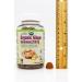 Organic Ginger Gummies 200mg - 90 Count for Nausea & Digestive Health | USDA Certified - Buy Online on GoSupps.com