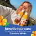 Alba Botanica Colorific Shampoo Plumeria 32 Oz - Hydrating Formula - 1 Pack - Buy Online on GoSupps.com
