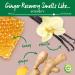 Garnier Whole Blends Strengthening Shampoo Bar - Ginger Recovery 2 Oz - For Weak Hair - 1 Count - Buy Online on GoSupps.com