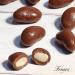 Friars Milk Chocolate Brazil Box - 600g Luxury Coated Peruvian Brazil Nuts | British Cocoa Hamper Gifts for Girlfriends Men Women Friends & Mothers | Romantic Gift Set for a Birthday & Valentine's Milk Chocolate Brazil Nuts Box - Buy Online on GoSupps.com