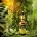Anti-Aging Face Serum | Organic Rosehip & Frankincense | Nourish & Brighten Skin | 30 ml All-Natural Skincare - Buy Online on GoSupps.com
