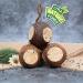 Lyra PET Coconut Bird Feed Balls | 3 x 4 Whole Coconuts | Nutritious Fat-Rich Wild Bird Food | Year-Round Feeding | Ideal for Meisenkn del - Buy Online on GoSupps.com