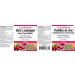 Natural Factors Zinc Lozenges 60 lozenges Cherry Flavour with Echinamide Elderberry & Vitamin C Sore Throat Relief Helps Maintain Immune Function - Buy Online on GoSupps.com