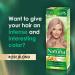 Joanna Naturia Color Permanent Hair Color Cream Goodness of Milk Proteins and Peach Extracts Premium-Quality Hair Dye Provides Soft and Lustrous Hair Long-Lasting Hair Colors Rose Blond - Buy Online on GoSupps.com
