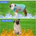 Dog Cooling Vest - Summer Breathable Mesh Jacket for Small to Medium Dogs (XL Green) | Ice Cooling T-Shirt with Reflector Strips - Buy Online on GoSupps.com