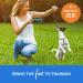 Buddy Biscuits Low Calorie Training Bites for Dogs - Bacon Flavor - 10oz Pack - Made in USA - Buy Online on GoSupps.com