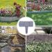 Garden Landscape Edging - Flexible Garden Border Edging | Garden Edging Decorative Border Recycled Garden Fences and Borders for Lawn Yard Wood.l 20 Pieces - Buy Online on GoSupps.com