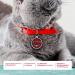 Personalized Ibera Gifts for Medium to Large Cats - Engraved Collar & Red Glitter Neck Band - Buy Online on GoSupps.com
