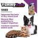 YummyRade Pet Meal Topper: Healthy Gravy Enhancer for Dogs & Cats - Grain Free Chicken Flavored - 8.4 Fl Oz (Pack of 3) - Buy Online on GoSupps.com