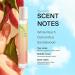 Skylar Peach Fields Eau de Parfum - Hypoallergenic & Clean Perfume for Women & Men Vegan & Safe for Sensitive Skin - Sweet Perfume with Notes of Mandarin Grapefruit Peach - 10mL /0.33 Fl oz - Buy Online on GoSupps.com