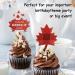 Red Glitter Canada Day Cupcake Toppers Set of 18 - This is a perfect Canada Day on July 1st: a baby shower party and themed birthday party decoration for boys and girls - SugarGera - Buy Online on GoSupps.com