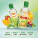 Castello since 1907 Stevia Liquid Drops 125 ml | 375 servings | 10 drops 1 teaspoon of sugar | Zero Calorie Sugar Substitute | 0 Calories - 0 Glycemic Index - 0 Net Carbohydrates - Keto - Buy Online on GoSupps.com