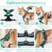 Rabbitgoo Medium Dog Harness - No Pull Adjustable Breathable Control Harness for Large Dogs - Reflex Stripes Safe Guide in Mint Green (1 Pack) - Buy Online on GoSupps.com