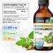 BIO KRAUTER Ashwagandha Tincture 4 Fl. Oz. & Milk Thistle 250 Capsules - Buy Online on GoSupps.com