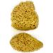 Medium Sea Sponge Unbleached Honeycomb Natural Seasponge with Flat Side - for Bath Use or Art and Painting use (Size 12-14 cm) - Buy Online on GoSupps.com