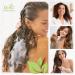 WIC Family Naturals Organic Shampoo - 16oz Subtle Citrus - Buy Online on GoSupps.com