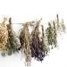 Buy 100% Pure & Natural Oregano Rubbed 500g - Premium Dried Oregano Spice for Flavorful Cooking & Spice Mixes - International Shipping Available! - Buy Online on GoSupps.com