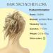 CAISHA Jumbo Hairdumi Dutt - Light Brown Blonde Mix | Perfect for Bridal Updos & Messy Hairstyles - International Shipping Available - Buy Online on GoSupps.com