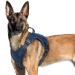 Rabbitgoo dog harness Large dogs anti -train crockery dog adjustable with handles widened robust and wear -resistant tactical dog harness with metal buckles for hiking (XL blue) XL (1 Pack)