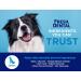 Naturel Promise Fresh Dental Water Additive for Dogs - 18 fl oz, 3 Pack - Easy Dental Health Solution, Cleans Teeth, Freshens Breath up to 12 Hours - No Brushing Needed - Buy Online on GoSupps.com
