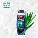  Duschdas Duschdas 3 in 1 Shower Gel and Shampoo for Men XXXL with Fresh Energy Fragrance Formula for a Refreshing Start to the Day 680ml - Buy Online on GoSupps.com