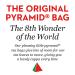 PG Tips Black Tea Pyramid Tea Bags 240-Count Box - Pack of 2 - Buy Online on GoSupps.com
