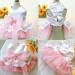 BT Bear Smally Disching Retro Tutu Dress for Cats & Small Dogs | Pups Rock Princess Dress for Weddings | Pink Medium - Buy Online on GoSupps.com