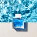 Banderas Antonio Perfumes - Blue Seduction - Eau de toilette for Men - Long Lasting - Fresh and Casual Fragance - Ideal for Day Wear - 1.7 Fl. Oz Citrus 1.7 Fl Oz (Pack of 1) - Buy Online on GoSupps.com