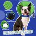 Buy Kuoser Rescue Dog Collar - Adjustable Leakage Protection & Bite Prevention - Blue XL (42-55cm) for Comfortable Wound Care - Buy Online on GoSupps.com