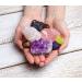 Bali Box Healing Crystals Set - 8 Natural Chakra Crystals Including Selenite, Amethyst, Lapiz Lazuli, Black Tourmaline - Tumbled & Raw - Energy Healing Kit - Buy Online on GoSupps.com
