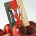 Ellis Brooklyn LOVE TRIANGLE Rollerball Trio - Clean Perfume for Women APPLE LOVE VANILLA MILK MYTH Rollerball Perfume Travel Size Perfume Gift Set APPLE LOVE MYTH VANILLA MILK 0.33 Fl Oz (Pack of 3) - Buy Online on GoSupps.com