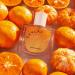 Skylar New Citrus Reverie Eau de Parfum-Hypoallergenic Clean Perfume for Women & Men Vegan Safe for Sensitive Skin-Fruity Floral Scents Madarin Orange Pinapple-50mL /1.70 Fl Oz - Buy Online on GoSupps.com