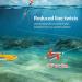 Thkfish Fishing Accessories Set - No Roll Sinker Lead Weights for Walleye Rigs | 10pcs/5pcs 1.8oz (50g) - Premium Quality Fishing Sinkers - Buy Online on GoSupps.com