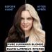Garnier Olia Permanent Hair Colour Maximum Bleach Ammonia-Free Long-Lasting Hair Shine With 60% Oils 1 Application LIGHT / BLONDE SHADES Bleach +++ - Buy Online on GoSupps.com