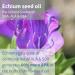 Echiomega Vegan Omega 3-6-9 Echium Seed Oil 2:1 Ratio - 60 Small Softgels for Women's Health by Igennus - Buy Online on GoSupps.com