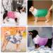 Cit toile Warm Winter Dog Sweater | Soft Knitted Turtleneck Pet Coat for Cold Weather | Color Gradient Design for Small & Medium Dogs | Blue XS X-Small - Buy Online on GoSupps.com