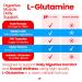 HealthFare L Glutamine 1000mg | 240 Vegan Capsules | Extra Strength Amino Acid Supplement | Supports Digestive Balance Nutrient Absorption & Muscle Recovery | Non-GMO Gluten-Free | Made in USA - Buy Online on GoSupps.com