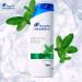 Head & Shoulders Menthol Fresh Anti-Dandruff Shampoo Deeply Cleanses Hair and Scalp Fresh Minty Sensation 2 x 285 ml Formula - Buy Online on GoSupps.com