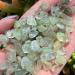 Natural Crystal Rough Specimen Natural Grape Stone Crystal ChakraMedaion Gemstone Reiki Tumble Gravel for DecorationStone (Color : Multicolor Size : 50G) - Buy Online on GoSupps.com