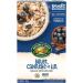 Nature's Path Organic Blueberry Cinnamon Flax Oatmeal 320 g (Pack of 6) Non-GMO - Buy Online on GoSupps.com