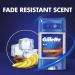 Gillette Antiperspirant Clear Gel Deodorant For Men 48-Hour Invisible Sweat and Odour Protection Pack of 6 420 ML (6 X 70 ML) Sport Triumph - Buy Online on GoSupps.com